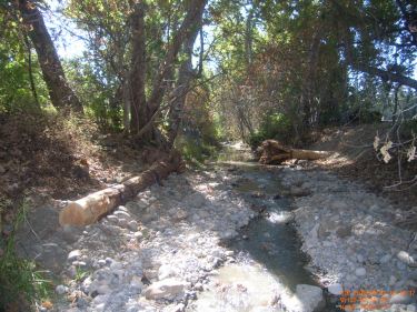 Stevens creek after installing gravel for habitat improvement.
